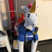 Venny The Unicorn