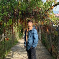 Trieu Nguyen Vuong