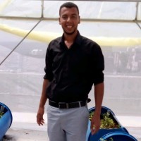 Akram Owidah
