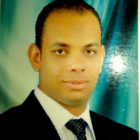 mohsen mahmoud