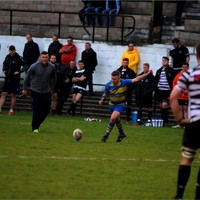 Bleddyn Corns