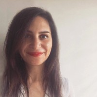 Dr Nesreen Nabil Hussein