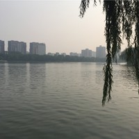 罗乐乐