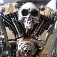 Knuckle Head