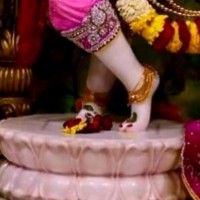 Sneha Senthil