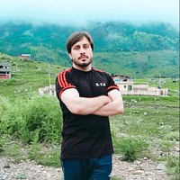 Amir Hamza