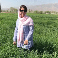 Sara Hamedheidari