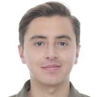 Harold Vergel