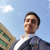 Mohamed Abd El Mohsen Hashem