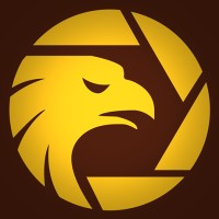 Wikifx Jobs
