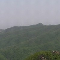王明鹤