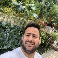 Michel Relvas