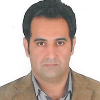 Amir Gorji