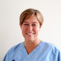 Johanna Miemois
