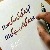 Ameer Ali