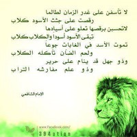 Elsayed Abdelatty