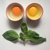 Krittiya Sriyabhandha