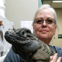 Jeannie Brousseau, RVT