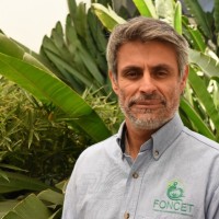 Dagoberto H Acevedo