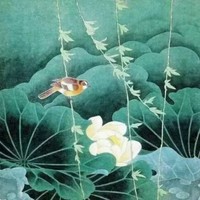 刘维佳