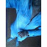 Bryan Opiyo