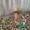 Dennis -Rip-