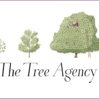 The Tree Agency Arboriculture