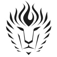 A C Q H o l d i n g s LLC