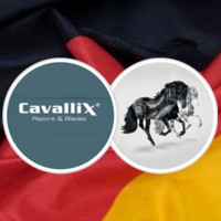 Cavallix Razors and Blades