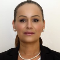 Salam Al Amir