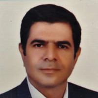 Seyedhamidreza Sajjadi