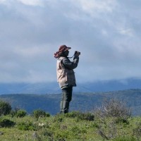 Macarena Hidalgo Vargas