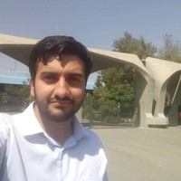 mohsen naseh