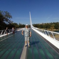 Daniel Steitzer