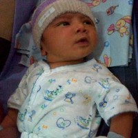 Dedy Fernando
