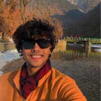 Mayank kumar Singh