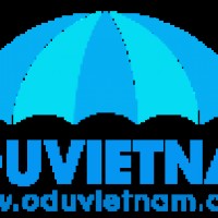 Ô Dù Việt Nam