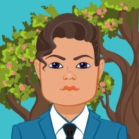 Haasnain Aly