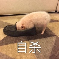 徐舒倩