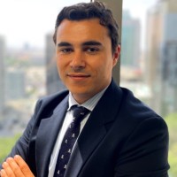 David Igareda González-Mesones