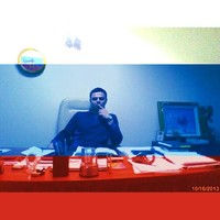 Alexander S. Larin