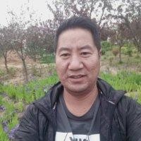 王彦斌