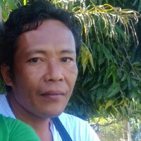 mus lombok