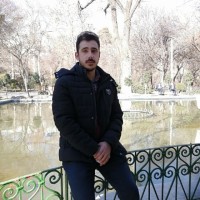 Hamed Zarifi