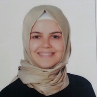 Özge Akpınar Özbek