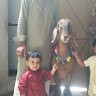 Qaisar Mohammad