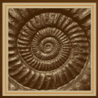 Helioterra Wines