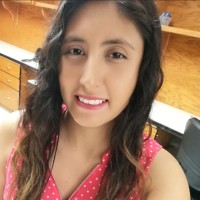 Julieta Berenice Hernandez Villegas