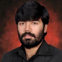 W Ali Naqvi al Bukhari