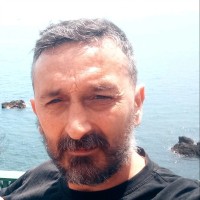 Domenico Maresca